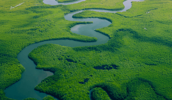 Sustainability & CSR