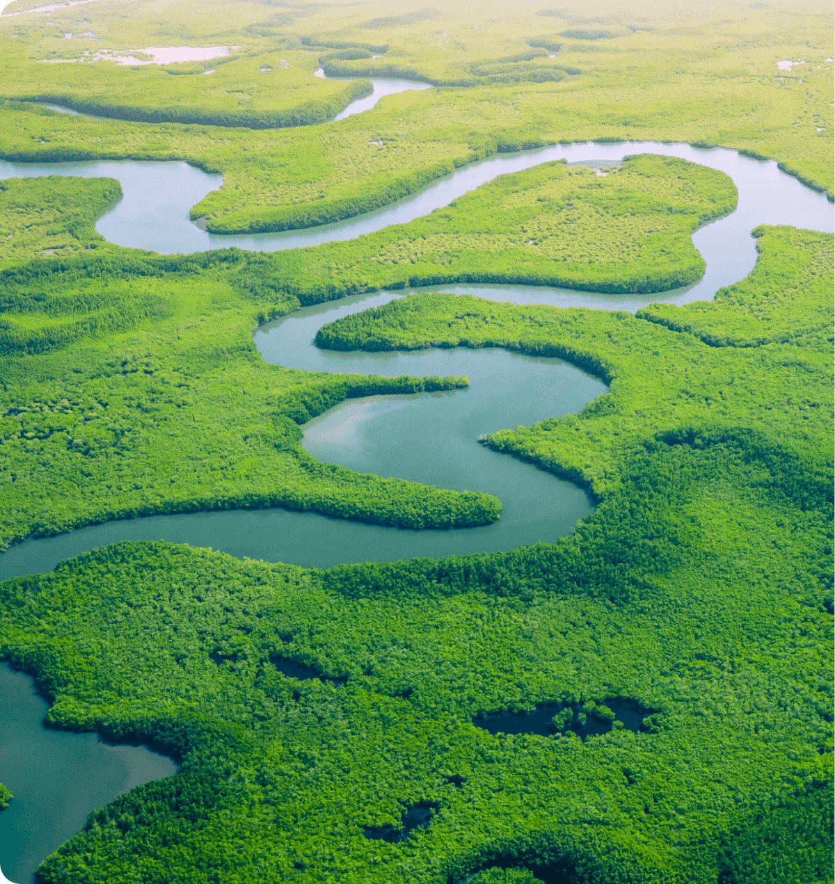 Sustainability & CSR