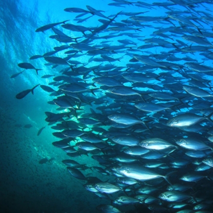 Simpler, Leaner, Faster