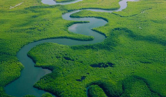 Sustainability & CSR