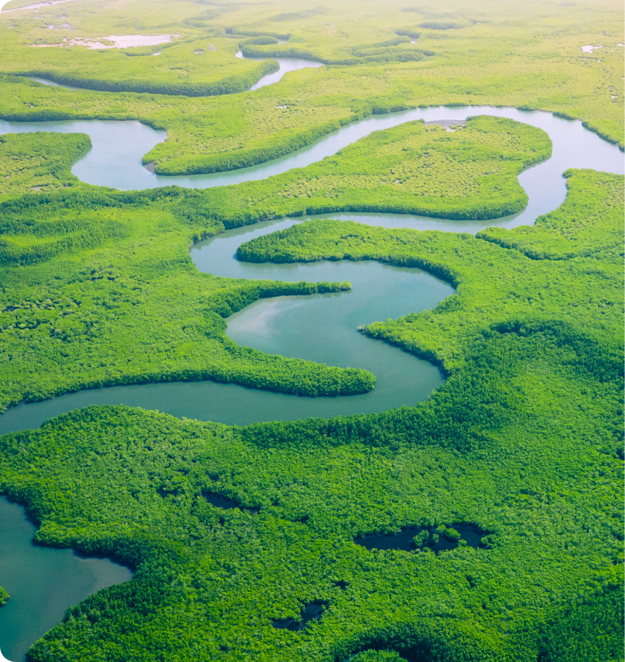 Sustainability & CSR